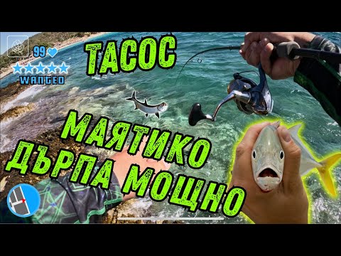 Видео: Риболов в Гърция 2 🌊 🇬🇷 Риболов на лодка и от брега на о. Тасос!