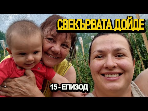 Видео: Свекървата дойде... и ОСТАНА без думи! -живот на село с @didoikali