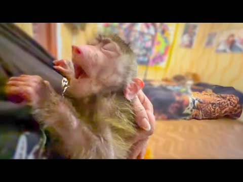 Видео: ЭТО УЖАСНО! Только что у Мани случился НОВЫЙ ПРИСТУП!