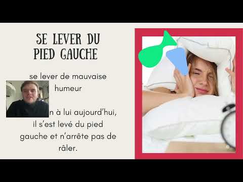 Видео: Французский язык. Выражения со словом Pied