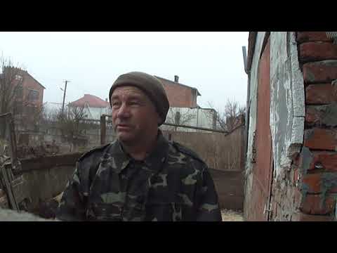 Видео: вартість утримування всіх видів свиней і квартирних також.