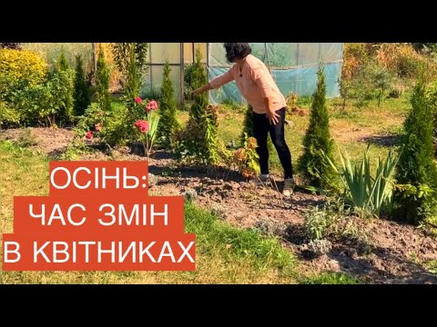 Видео: Огляд нових квітників || що пересадила, поділила, придбала💁🏻‍♀️🌱