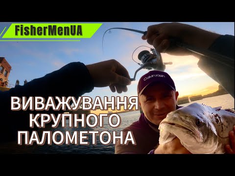 Видео: Я ДУМАВ ЦЕЙ СПІНІНГ ТРІСНЕ. ВИВАЖУВАННЯ КРУПНОГО ПАЛОМЕТОНА НА AZURA SAFINA  3-18g.