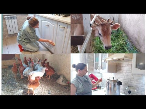 Видео: ПОПОЛНЕНИЕ В ХОЗЯЙСТВЕ И ВЕДРО СУПА ДЛЯ БОЛЬШОЙ СЕМЬИ!!!🤱🐄🐖🌾🌱🥫