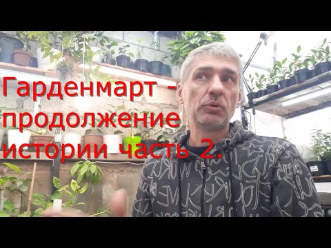 Видео: Гарденмарт- продолжение истории часть 2, обзор теплицы, прививок. Инжир и виноград после укрытия.
