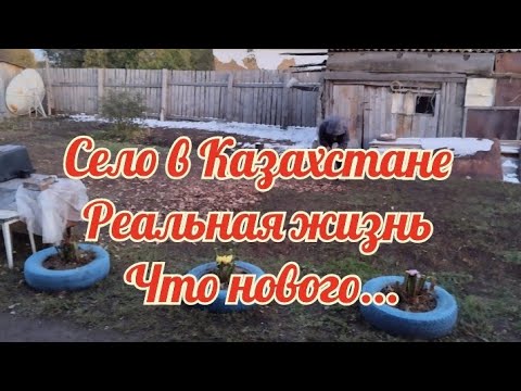 Видео: Казахстан!Сельская жизнь за неделю/Пожар/Дима старается/Рецепт пирожков/Баклажаны на зиму/Нет отдыха