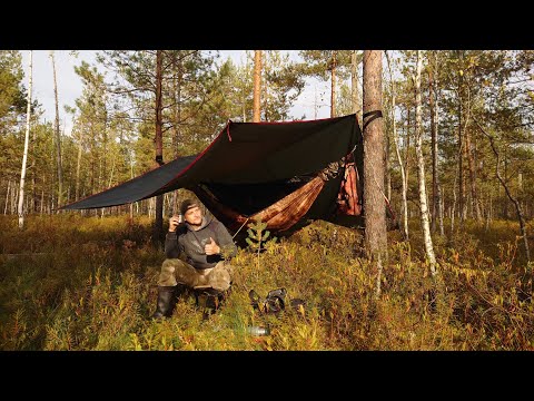 Видео: у меня появился гамак