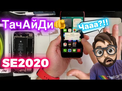 Видео: Само-Ремонт на Классических Моделях - SE2020 (Ревизии экрана - iOS18)