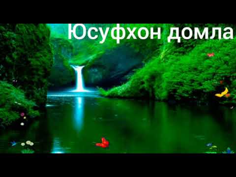 Видео: Юсуфхон домла