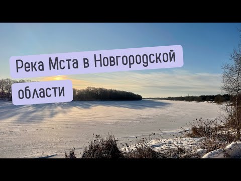 Видео: Знакомство с рекой Мста в Новгородской области.