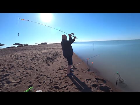 Видео: ПЯТЫЙ ДЕНЬ ОТДЫХА на БАЛХАШЕ/ОБЗОР зоны ОТДЫХА КОКТЕМ/ОБЗОР ПЛЯЖА/РЫБАЛКА/НА МЕНЯ РЫБА СТАЛА КЛЕВАТЬ