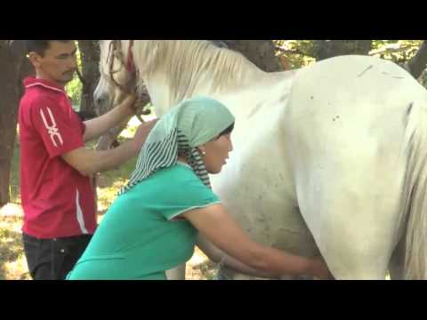 Видео: ДИХАНКӨЛ АУЫЛЫ