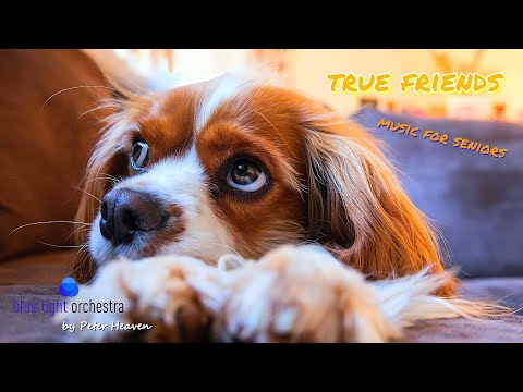Видео: Настоящие друзья ❤ Музыка для пожилых людей – прекрасная ностальгическая инструментальная музыка