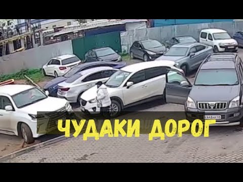 Видео: ЧУДАКИ ДОРОГ\\чудаки и тигр\хочу порш\как учил\камеру вырубил\свадебные понты\
