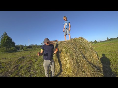Видео: Пресуем первые руллоны сено 2024!!  #латвия #мтз