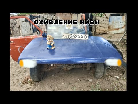 Видео: Нива#15 оживление нивы
