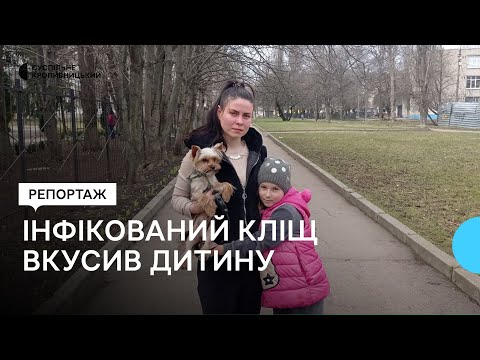 Видео: У Кропивницькому інфікований кліщ вкусив 7-річну дитину