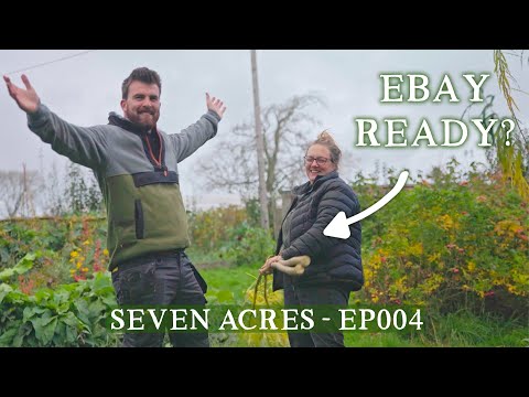 Видео: Подготовка eBay, плавучие сараи и перемещение кур · Seven Acres EP004