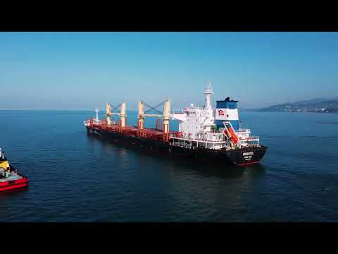 Видео: Port Batumi, Georgia 2023, aerial view | Порт Батуми, Грузия 2023, вид с воздуха