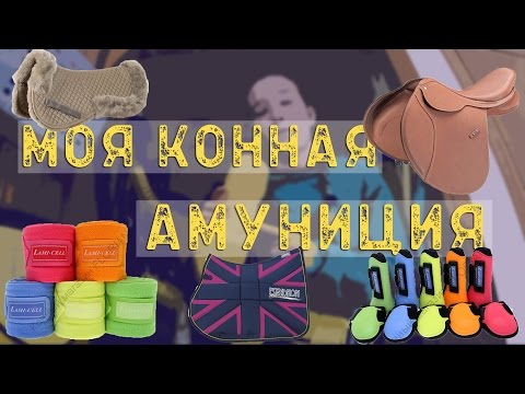 Видео: МОЯ КОННАЯ АМУНИЦИЯ | by WildPony