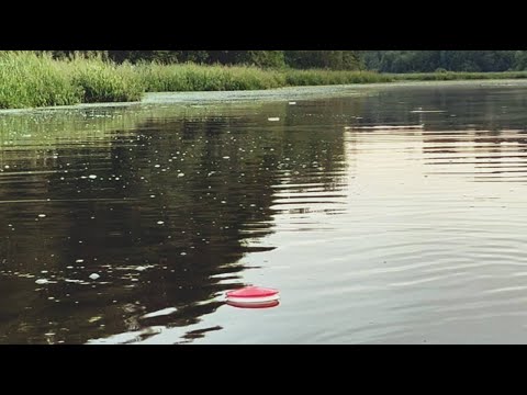 Видео: РЫБАЛКА НА КРУЖКИ В ИЮНЕ.