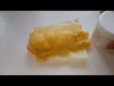 Видео: знакомство и обзор комнаты собачки 💗