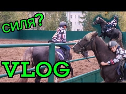 Видео: VLOG с конюшни//СИЛЯ?//VLOG//Equestrian//