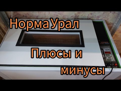 Видео: Инкубатор Норма Урал на 200 яиц.