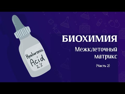 Видео: Межклеточный матрикс | Биохимия часть 2