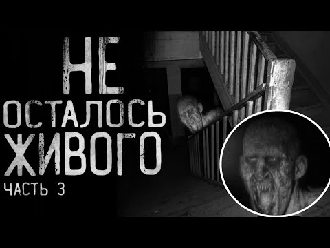 Видео: Страшные истории на ночь - НЕ ОСТАЛОСЬ ЖИВОГО. Часть 3.Страшилки на ночь.