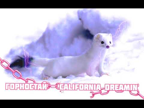 Видео: Горностай - California Dreamin'|Шоу "Маска-4"|[6-Выпуск🩰]