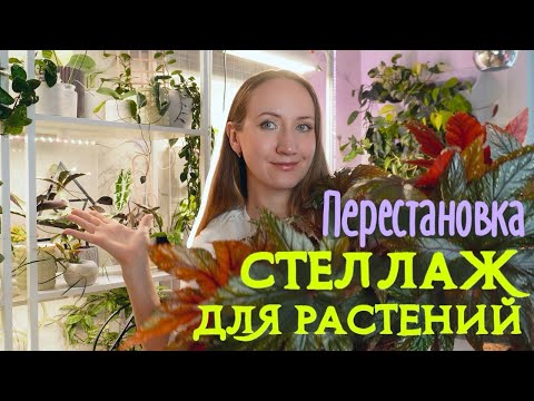 Видео: Новый СТЕЛЛАЖ ДЛЯ РАСТЕНИЙ | Большая перестановка