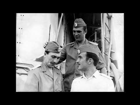 Видео: Боевой путь гв. 810 ОБРМП.