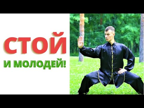 Видео: СТОЙКА, КОТОРАЯ ЗАСТАВИТ ТЕБЯ МОЛОДЕТЬ! | Дерево жизни