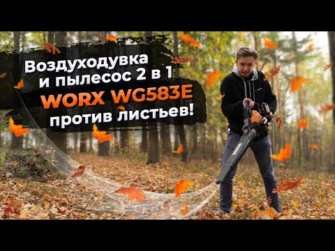 Видео: Воздуходувка - пылесос 2 в 1! Уборка листьев с WORX WG583E