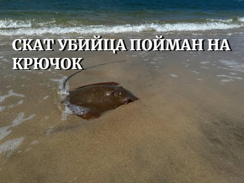 Видео: ОХОТА НА ОКЕАНИЧЕСКОГО КАРАСЯ