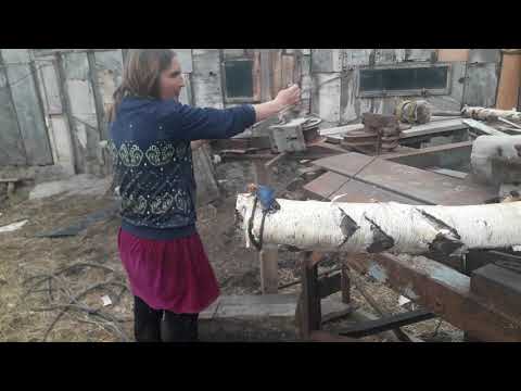 Видео: Гнем дугу с березы