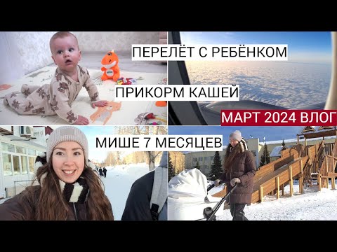 Видео: ЧТО ВЗЯТЬ В САМОЛЁТ С РЕБЁНКОМ, СТАЛО МЕНЬШЕ ВРЕМЕНИ, ПРИКОРМ ГРЕЧНЕВОЙ КАШЕЙ | МАРТ 2024 ВЛОГ