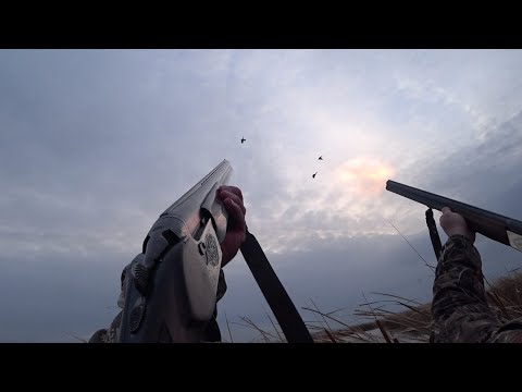 Видео: Охота на утку - Осень