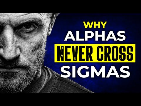 Видео: Почему альфа-самцы НИКОГДА не пересекаются с сигма-самцами