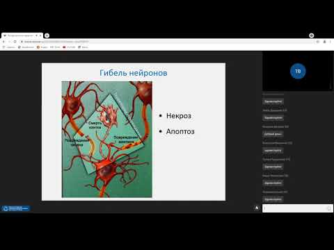 Видео: Нервная система