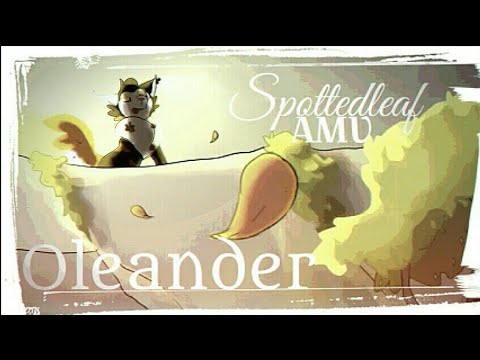 Видео: |AMV| Злая Пестролистая и Огнезвезд-Spottedleaf and Firestar[Коты Воители-Cats Warriors{Oleander}]