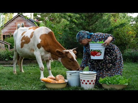 Видео: Готовим Довгу И Печём Хлеб В Тихой Деревенской Кухне 🥣🍞