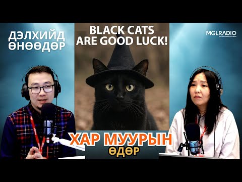 Видео: Дэлхийд өнөөдөр | 2025-10-27 | Хар муурын өдөр