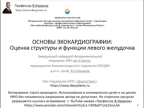 Видео: ОСНОВЫ ЭХОКАРДИОГРАФИИ: Оценка структуры и функции левого желудочка. Часть 1