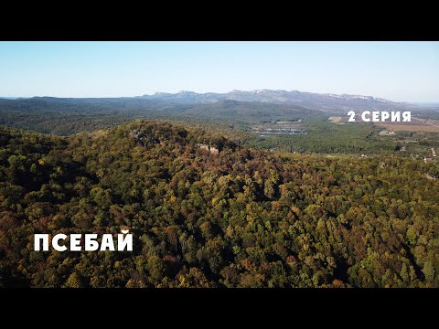 Видео: Псебай 2024 2 серия