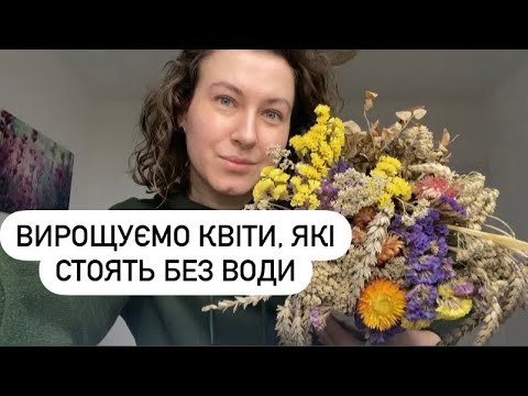 Видео: 14 березня. Сіємо сухоцвіти кермек, статицю на розсаду