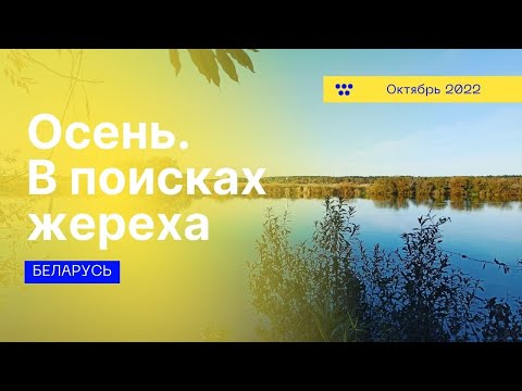 Видео: Октябрь. В поисках жереха