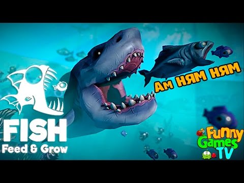 Видео: Я БОЛЬШАЯ ХИЩНАЯ РЫБА веселое видео   в необычной игре Feed and Grow Fish от Funny Games TV