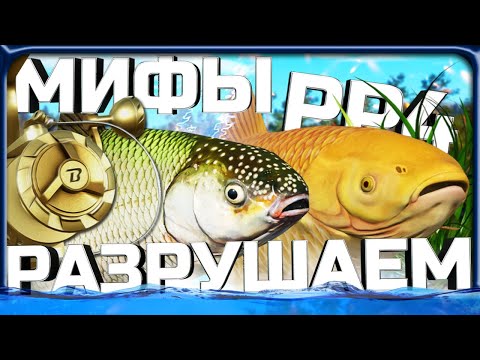 Видео: МИФЫ о РЫБАЛКЕ в КОТОРЫЕ все ВЕРЯТ в РР4!